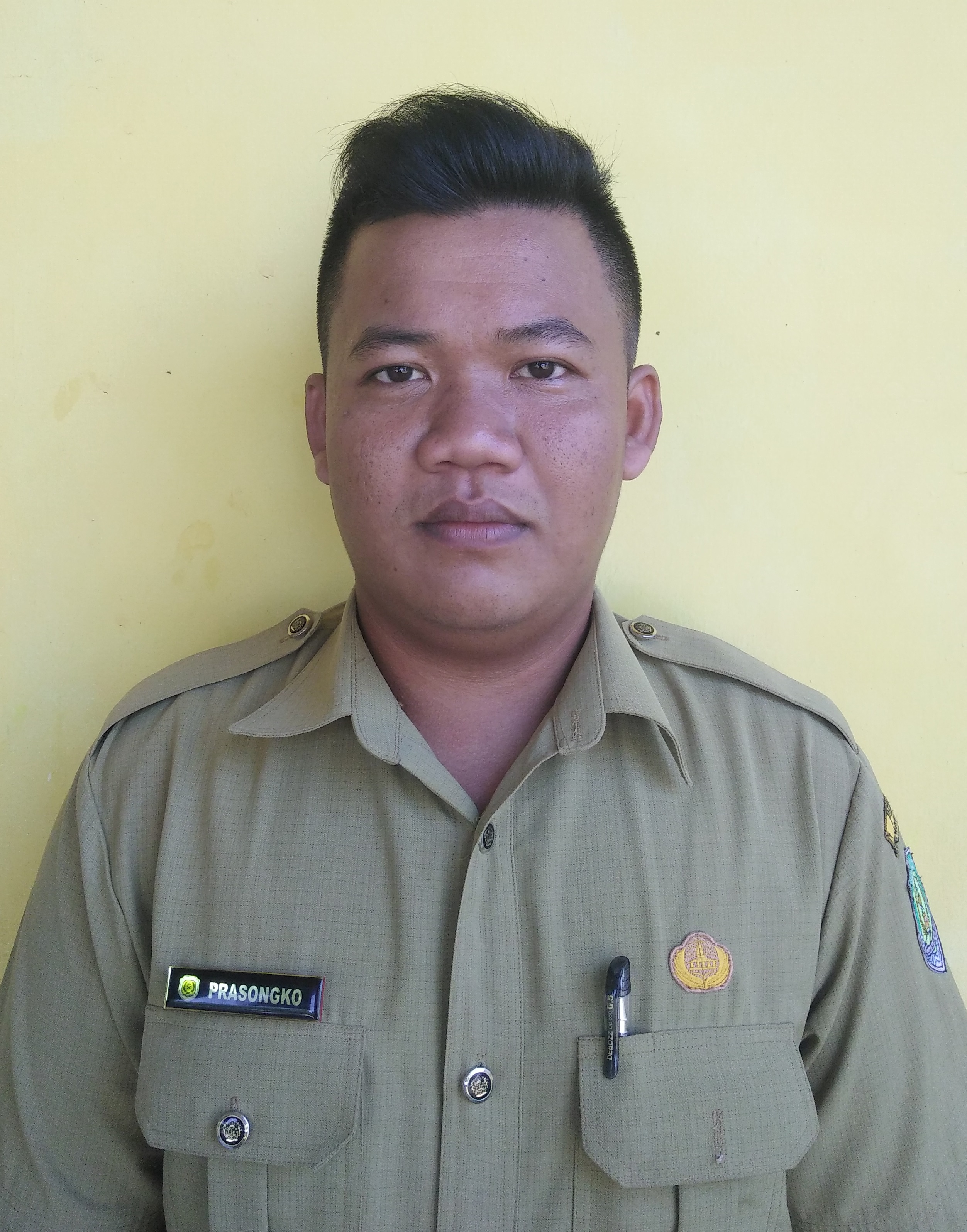 WAHYU ARI PRASETYO BUDI
